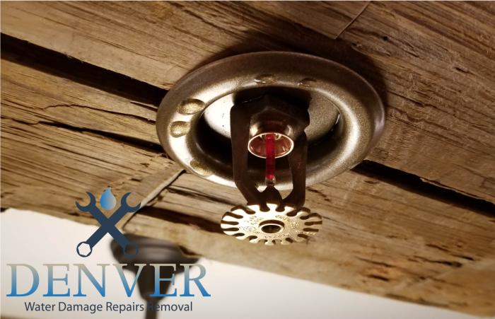 denver water damage repairs removal restoration company 87 denver water damage repairs removal restoration company